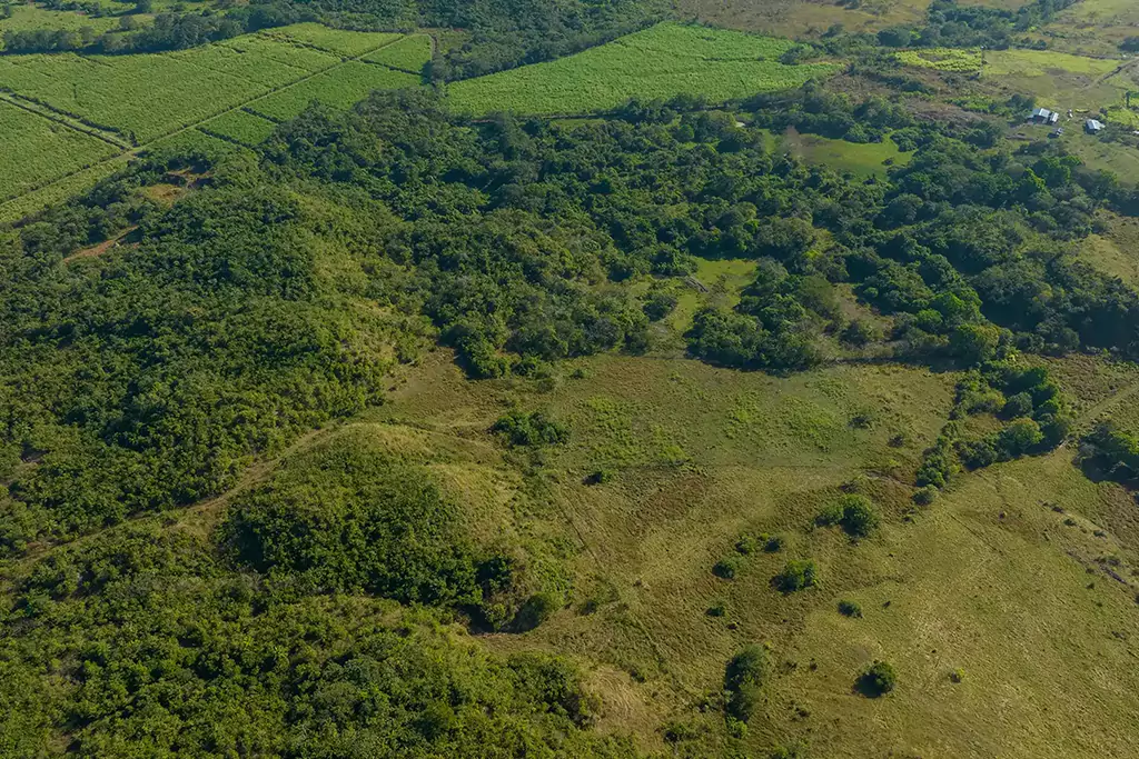 Oportunidades de inversión para empresas logísticas: propiedad única en Santiago de Veraguas - Agente de bienes raíces en Panamá