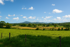 Terrenos para Desarrollo: Cómo Elegir la Mejor Ubicación en Panamá, en la Ciudad o en el Interior - Agente de bienes raíces en Panamá